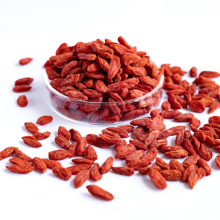 Free Sample Red Goji Berry Dride Fruit Red Goji Berry